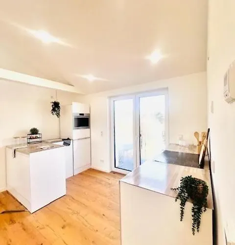 Apartment Modernes Wohnerlebnis In Kernsanierte 3-zimmer-wohnung Mainz